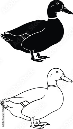 Simple silhouette and outline illustration of a duck