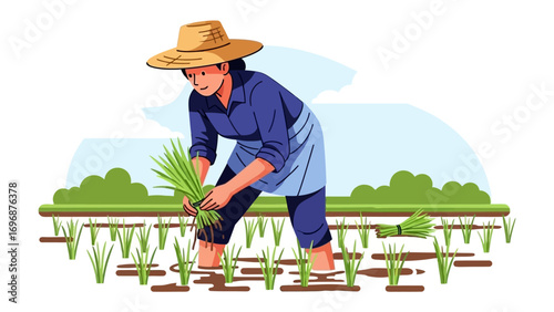 Planting Rice: A farmer, donning a straw hat, is engrossed in the traditional practice of planting rice, nurturing the grains in the fertile field with expert hand.