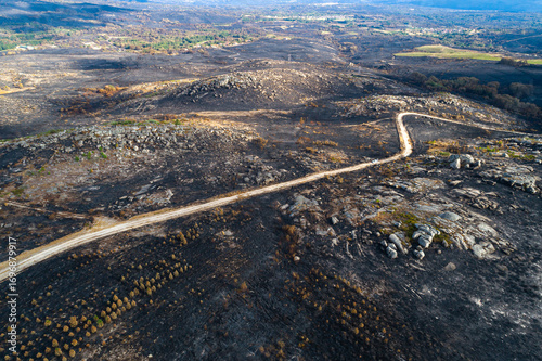 Fotografi Aerial view of a devastated forest landscape after a wildfire, Environmental Dis