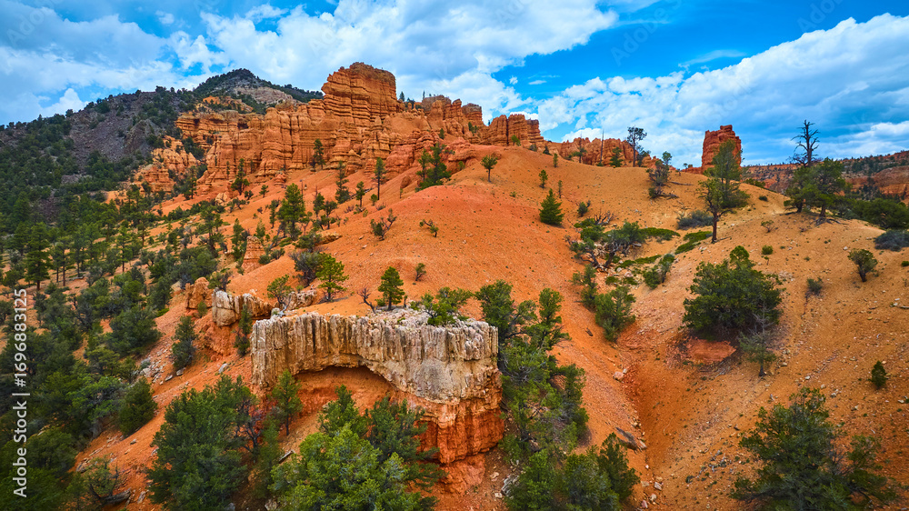 Fototapeta premium Aerial Red Canyon Hoodoo Formations and Pine Forest Utah Landscape
