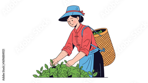 Harvest Harmony: A detailed illustration depicts a farmer in traditional attire, delicately harvesting tea leaves.