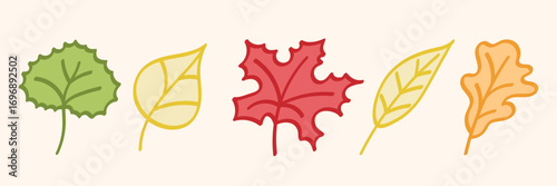 Set of autumn leaves. Vector illustration