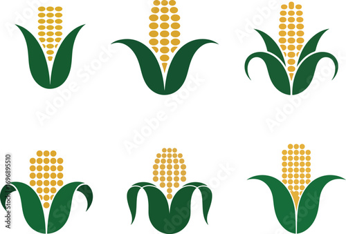 Golden corn cobs green leaves maize grain