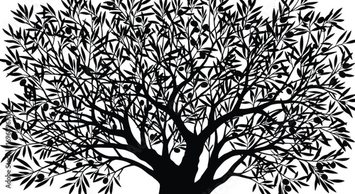 A striking black and white silhouette of a mature olive tree laden with fruit, its branches spreading wide.