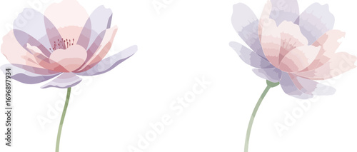 Two delicate pastel watercolor flowers on white background