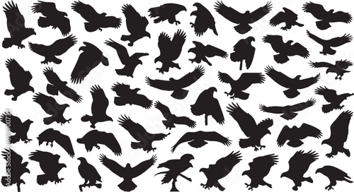 Collection of black silhouette bird silhouettes in flight against a white background