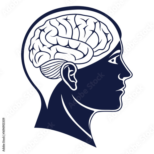 Dark blue human head profile silhouette with a detailed brain and visible ear vector illustration