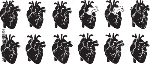 Collection of anatomical heart illustrations with textured grunge effect