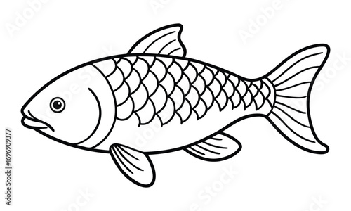 common carp fish line art vector illustration