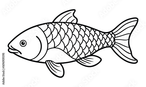 common carp fish line art vector illustration