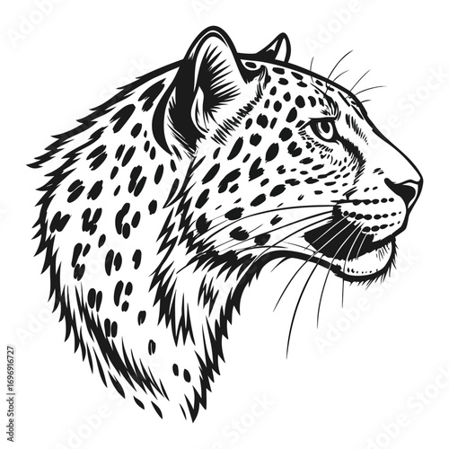 Detailed black and white drawing of a majestic leopard head in profile view