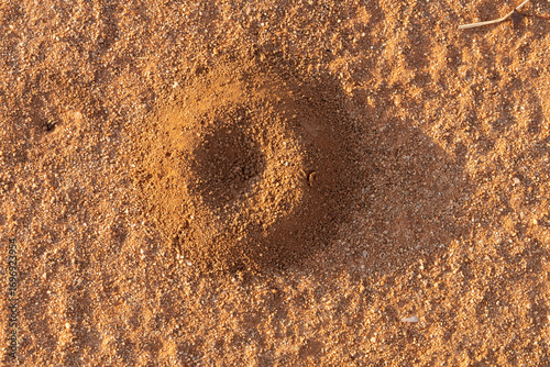Pitfall in the sand of the larva of an Antlion