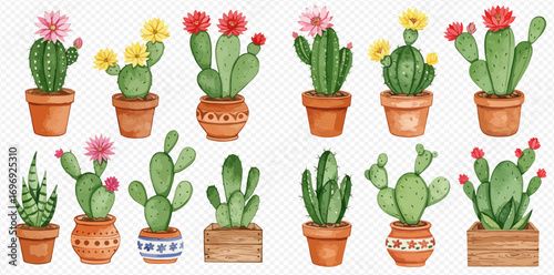 A charming collection of various watercolor cacti and succulents, some blooming with colorful flowers, in decorative pots.