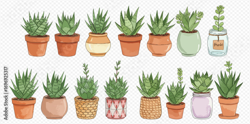 A charming collection of watercolor illustrations featuring various succulent plants in diverse decorative pots and jars.
