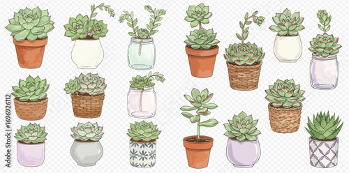 A collection of hand-drawn green succulent plants in various decorative pots, jars, and baskets.