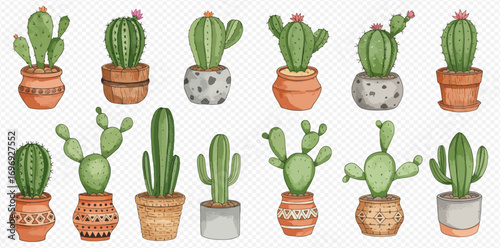 A charming watercolor collection of various green cacti and succulents in decorative pots, isolated on a transparent background.