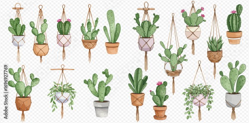 A charming watercolor collection of various cacti and houseplants in decorative pots and boho macrame hangers.