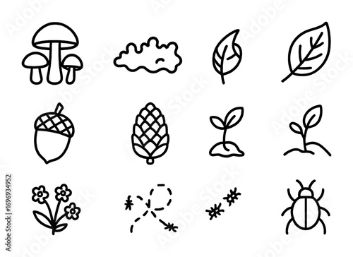 Forest Floor Icons. Outline icon set of Forest floor details: mushroom cluster, moss patch, fallen leaf, acorn