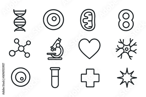 Cellular Regeneration Icons. Outline icon set of life extension through cellular regeneration: DNA helix, stem