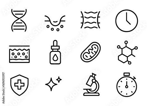 Anti-Aging Science Icons. Outline icon set of anti-aging science: DNA helix, wrinkle line, collagen strand,