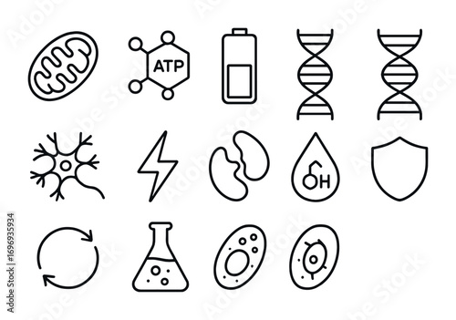 Cellular Energy Icons. Outline icon set of cellular energy: mitochondria, ATP molecule, battery icon, DNA