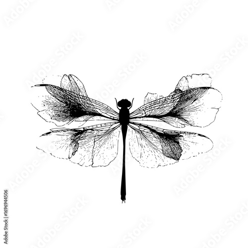 Detailed black and white drawing of a dragonfly with intricate wing patterns on a white background art piece