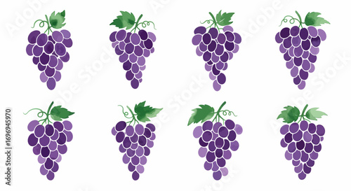 Set of eight purple grape bunches with green leaves, rendered in a delicate watercolor style on a white background
