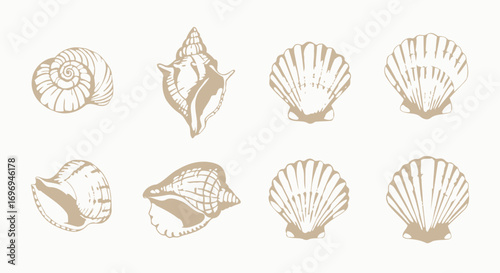 Set of eight delicately rendered beige seashells, depicted in a minimalist watercolor style on a clean white background