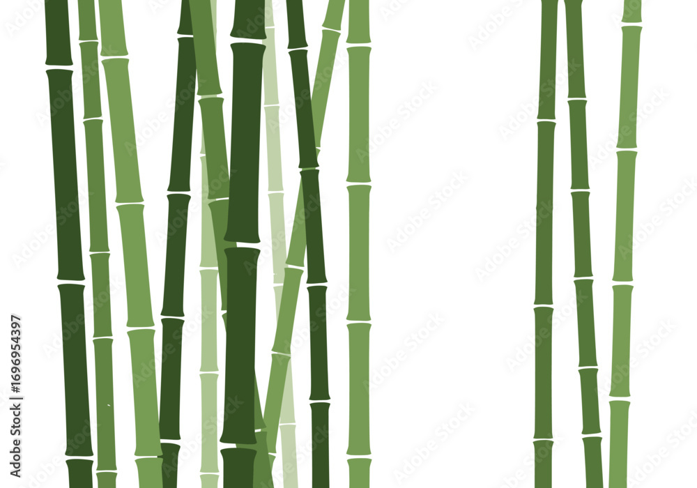 Fototapeta premium Green Bamboo Stalks on White Background.