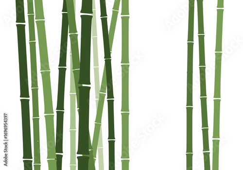 Green Bamboo Stalks on White Background.