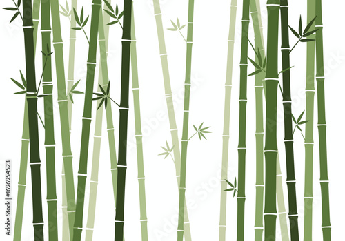 Lush Green Bamboo Forest Close Up.