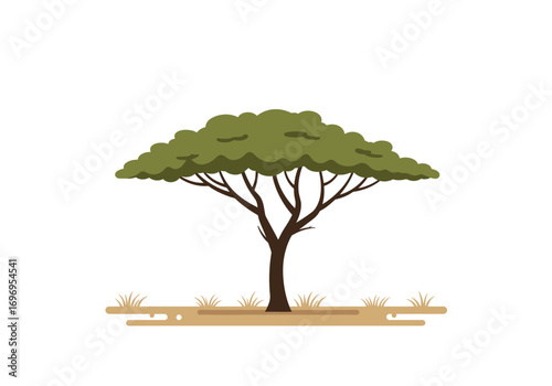 Single Acacia Tree in African Savanna Landscape.
