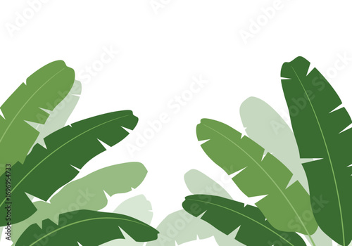 Vibrant Green Banana Leaves Tropical Foliage Illustration.