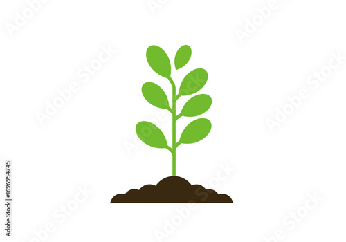 Single Green Plant Seedling Growing in Soil.