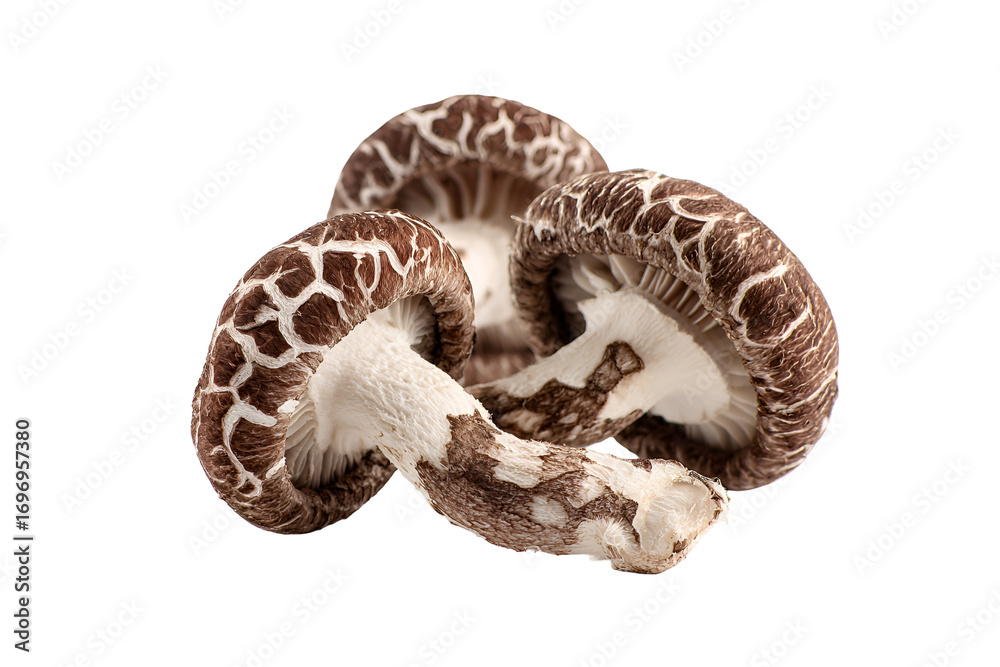 Obraz premium Shiitake Mushrooms Closeup Dark Background Fresh Food