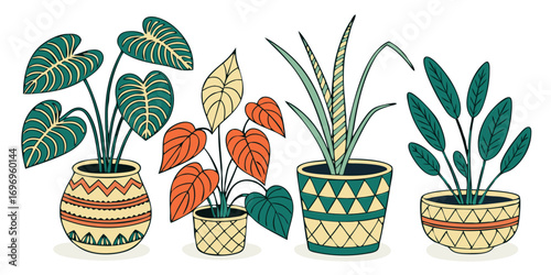 decorative houseplants collection in stylish patterned pots illustration design and isolated background.