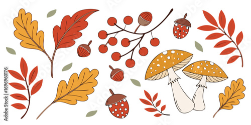 a vibrant vector illustration of autumnal elements including colorful leaves, red berries, acorns, and spotted mushrooms 