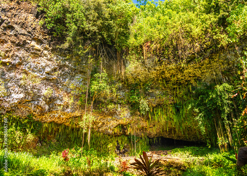 2025 07 10 Fern Grotto - Kauai