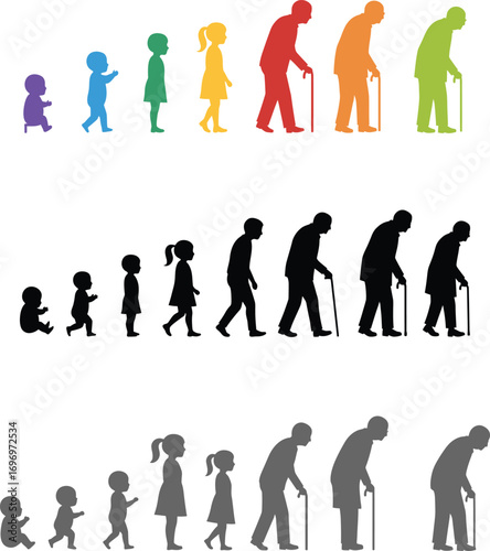 Human Lifecycle & Aging Progression Illustration - AI Generative

