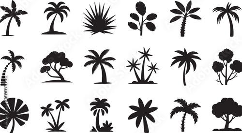 Tropical Palm and Coconut Leaf Silhouette Vector with Beach and Jungle Elements
