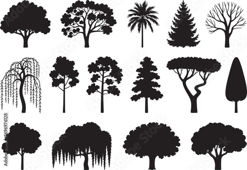 Tree Silhouette Vector Illustration with Tropical, Deciduous, and Evergreen Forest Elements