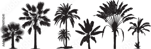 Palm Tree Silhouettes Set | Tropical Palm Trees Vector | Black and White Coconut Tree Outlines | Beach Scene Elements | Minimalist Jungle Icons