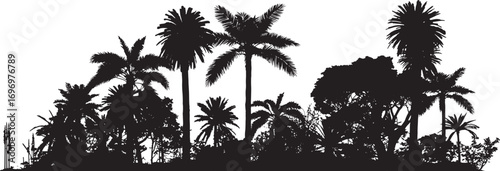 Tropical Palm and Coconut Leaf Silhouette Vector with Beach and Jungle Elements