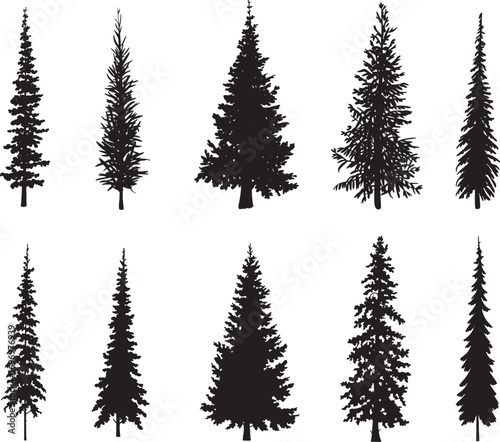 Silhouette of Evergreen Trees Set on White Background,Pine fir tree tall tree isolated premium vector image, black and white tree silhouettes,coniferous trees, pine trees,fir trees silhouettes set,Ai