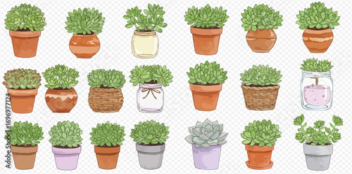 A charming collection of watercolor illustrations featuring various green succulent plants in diverse terracotta pots, ceramic planters, and glass jars.