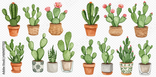 A beautiful collection of hand-painted watercolor cacti and succulents in various decorative pots.