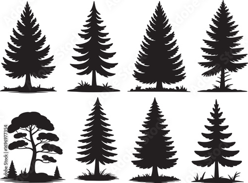 Silhouette of Evergreen Trees Set on White Background,Pine fir tree tall tree isolated premium vector image, black and white tree silhouettes,coniferous trees, pine trees,fir trees silhouettes set,Ai