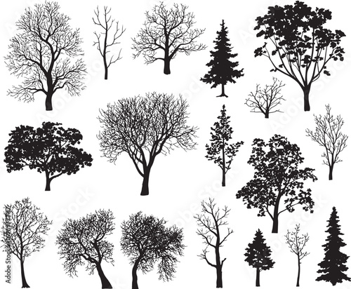 Tree Silhouette Vector Collection – Evergreen Pine, Oak, Fir, and Deciduous Forest Elements for Nature and Ecology Design