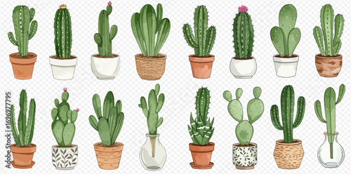 A diverse collection of watercolor illustrations featuring various green cacti and succulents in decorative pots and glass vases.
