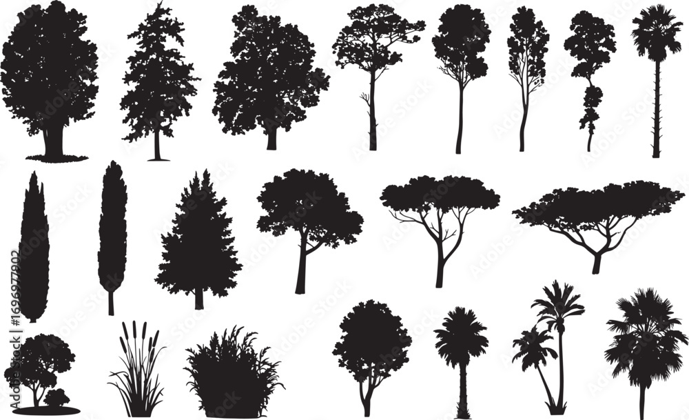 Fototapeta premium Tree Silhouette Vector Collection – Evergreen Pine, Oak, Fir, and Deciduous Forest Elements for Nature and Ecology Design